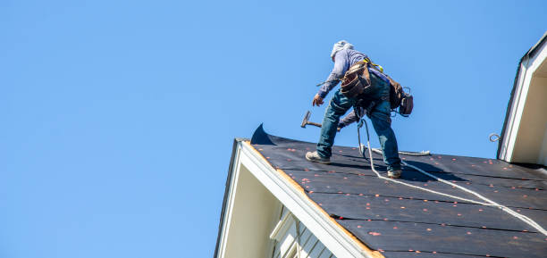 Best Shingle Roofing Installation  in Patterson, LA